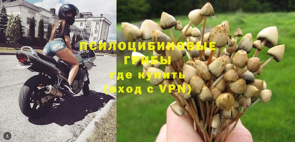 трава Абаза