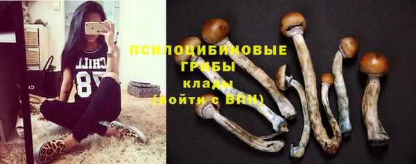 a pvp Абдулино