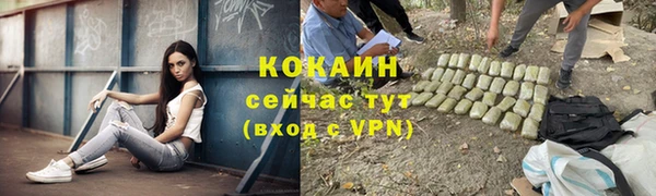 трава Абаза