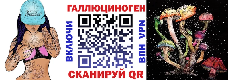 KRAKEN ссылки  Инза  Галлюциногенные грибы Cubensis 